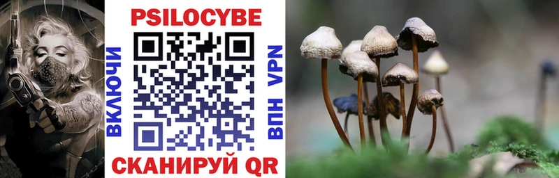 Псилоцибиновые грибы Cubensis  Геленджик 